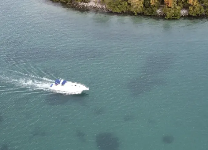 Best deal in Palm Beach! A perfect yacht, for the perfect day.