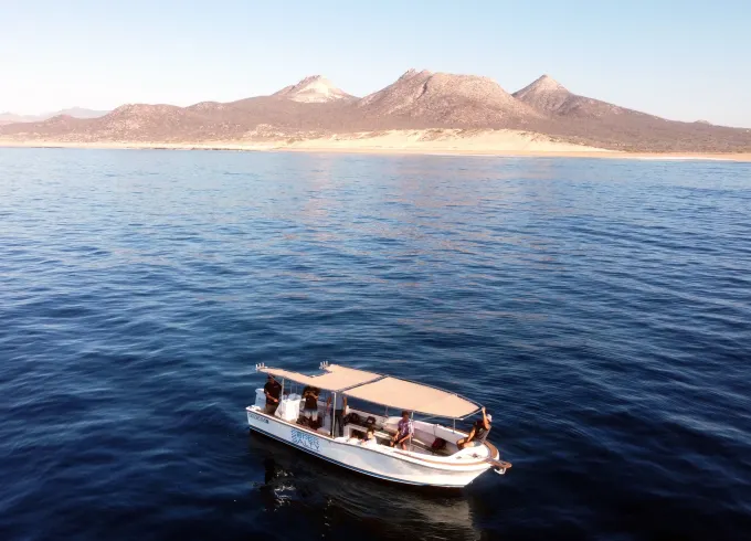 Private Mobula Ray Snorkel: San Jose del Cabo, BCS