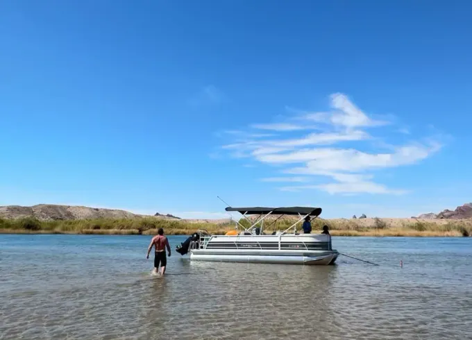 5hr Sandbar Pontoon Day Trip - Captain included: Sit back and Enjoy