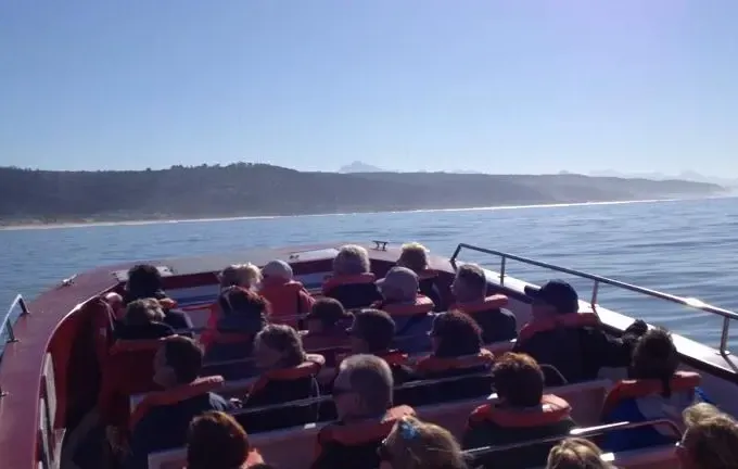 'Damara' Boat Whale & Dolphin Watching in Plettenberg Bay, Western Cape, South Africa