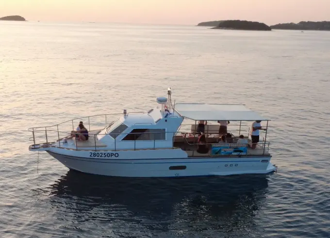 Dolphin Watching Adventure - 2 Hours