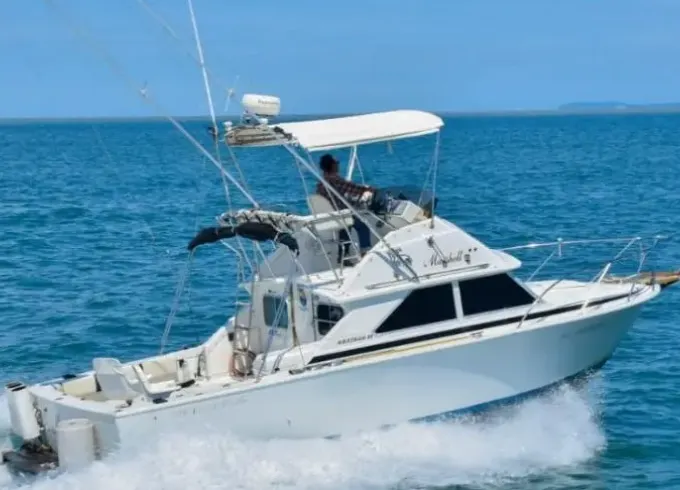 28ft Bertram Sports Cruiser in La Cruz de Huanacaxtle Marina, Mexico