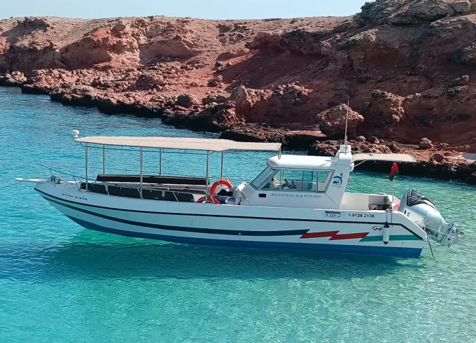 36-foot Touring Bus private charter - Cruise Oman Coastline