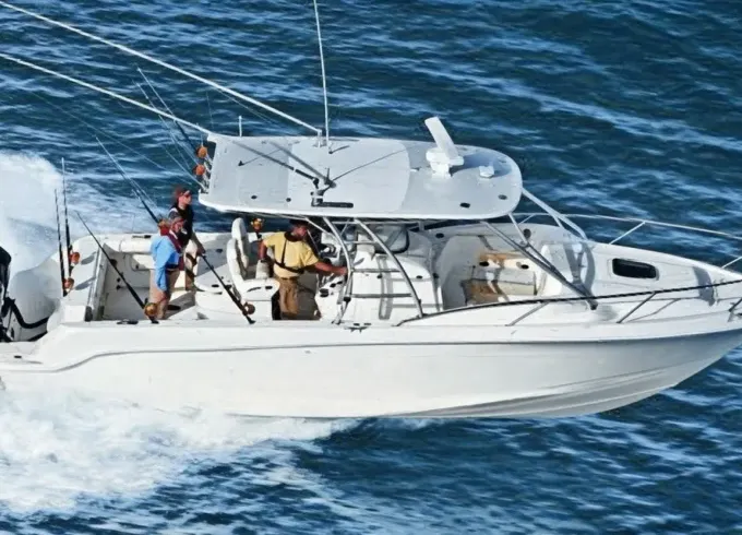 Boston Whaler Center Console Rental in Road Town, Tortola