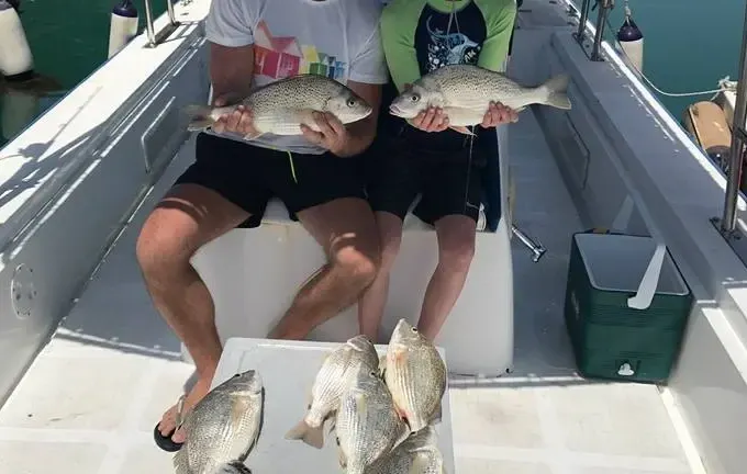Enjoy Fishing in Abu Dhabi, United Arab Emirates with Captain Naman