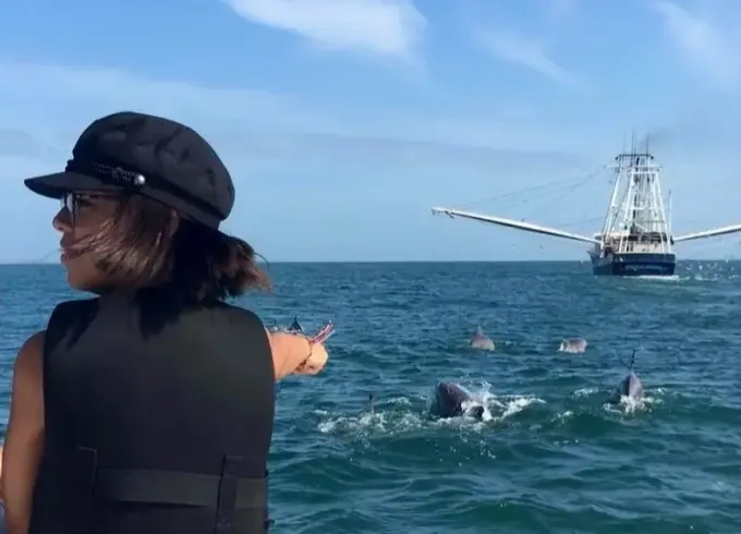 Dolphin Tours St Augustine