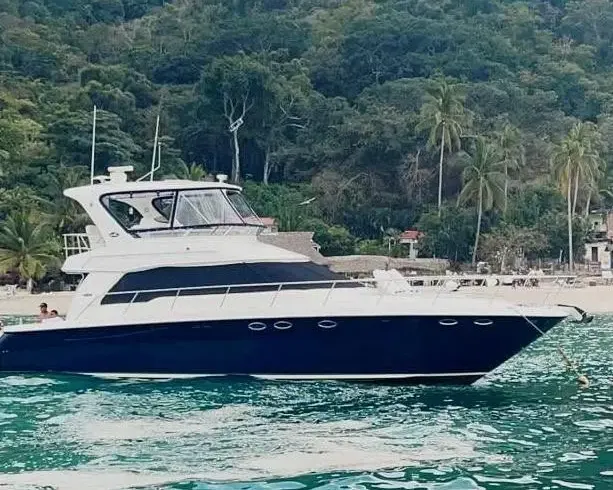 Sea Ray Sedan Bridge 480 Yacht For Elevated Luxury At Sea In Puerto Vallarta