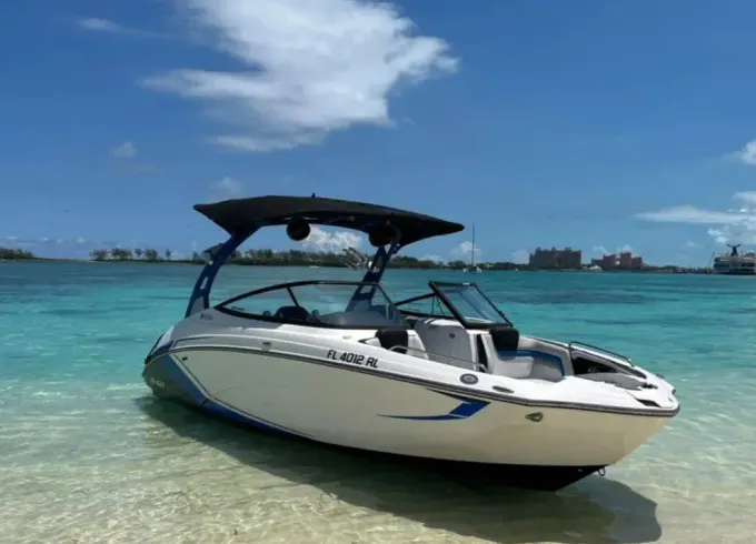 24ft Jetboat - Wake & Surf  - Free swimming with the pigs