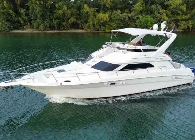 50' Sea Ray Flybridge Private Charter in Miami River - Comfort for 13 Guests