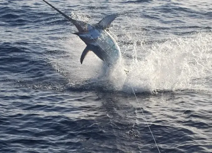Boat Fishing Charter 'Graal Jezera'  in Jezera