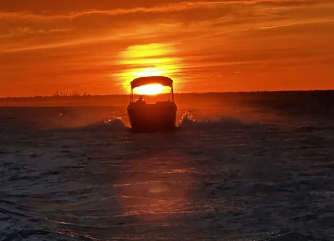 🌅 Private Sunset & Dolphin Cruise | Cape Coral | 🐬 Fuel Included
