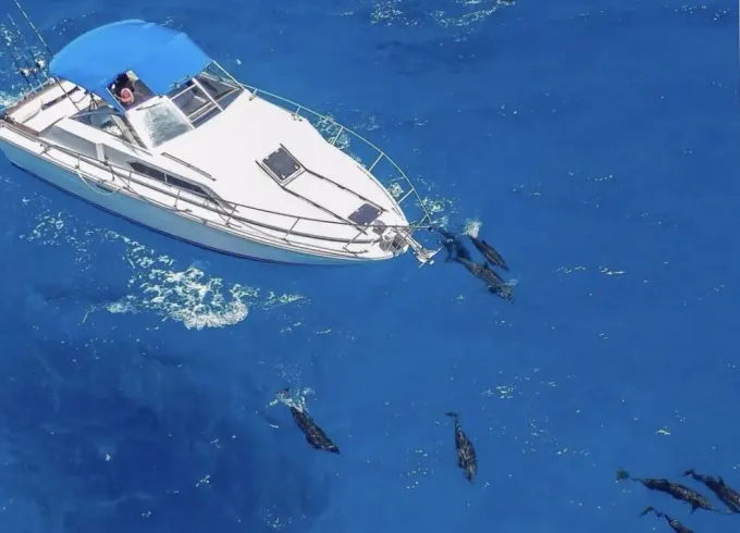 Come explore, the uncrowded south east coast of Oahu on your own 30 foot boat