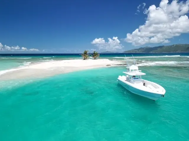 40ft Intrepid Power Boat Rental - British Virgin Islands Trip