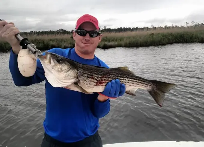 New Bern Inshore Fishing Charter on 22' Bay Boat