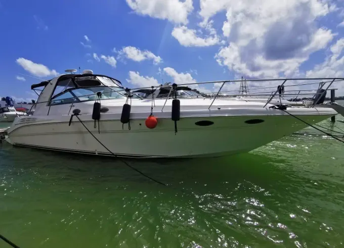 Amazing Affordable Sundancer 42ft Motor Yacht | Min. 5 hours rental