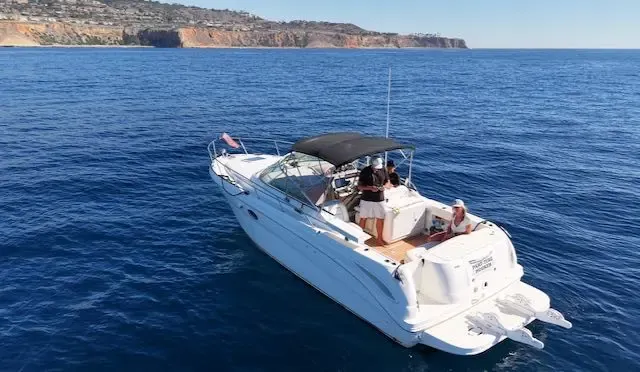 Private Harbor and Coastal Cruises in Redondo Beach - Sea Ray 290 Amberjack Boat