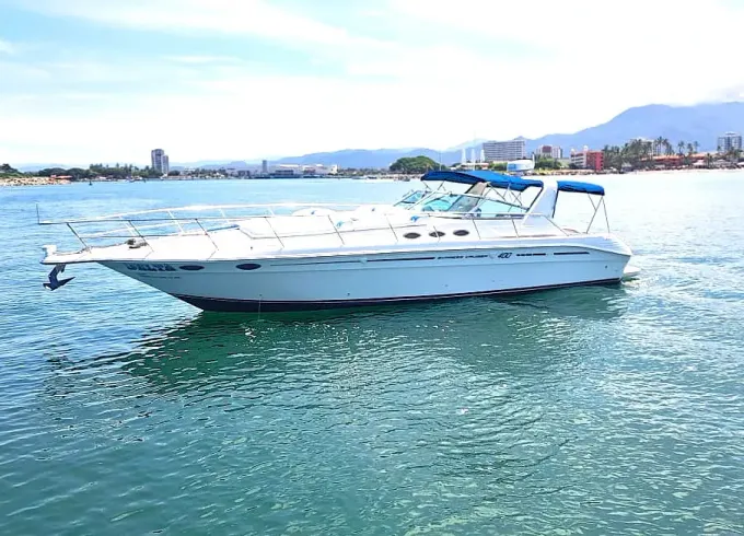 Supersport SeaRay 42 Yacht in Puerto Vallarta