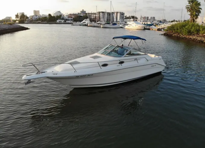 Sea Ray 27ft Yacht for Charter in Mazatlan