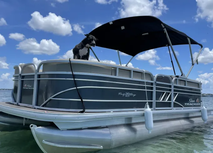 20ft Pontoon For Island Hopping, Sandbars, & Dolphin Cruise
