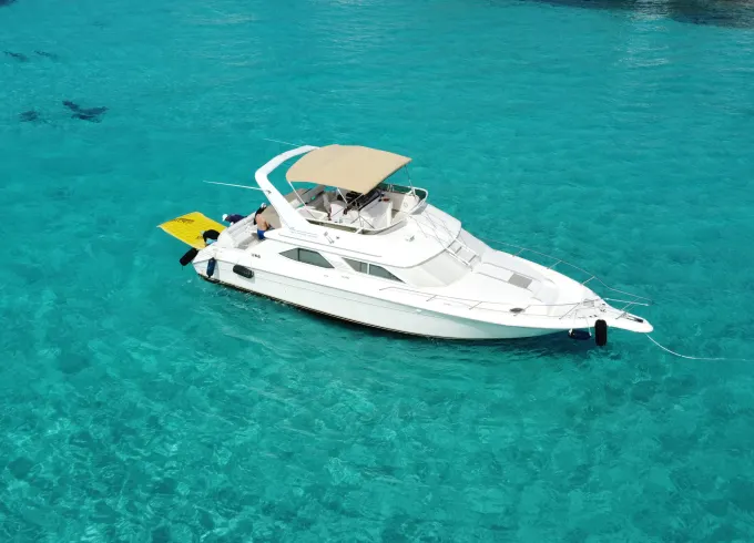 Sea Ray 440 Express Bridge LOA 50 FT Yacht for cruise in Cancun