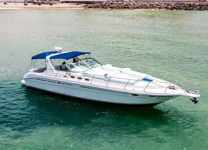 42ft Sea Ray Yacht for 15 in Puerto Vallarta with Captain