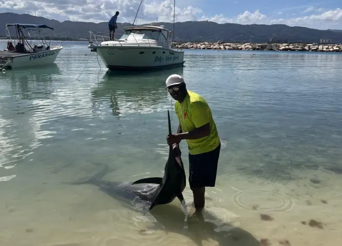 Private Deep Sea Fishing Adventure with Open Bar & More