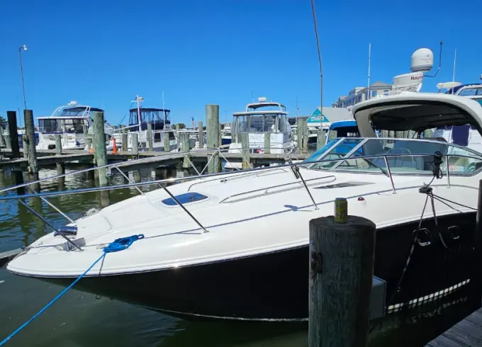 "S.S. South Down" Yacht Charter in D.C.