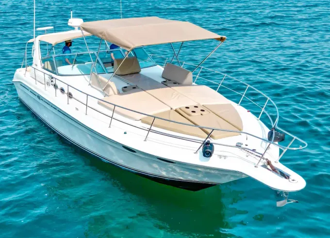 Charter Sea Ray 42ft Luxury Yacht in Puerto Vallarta
