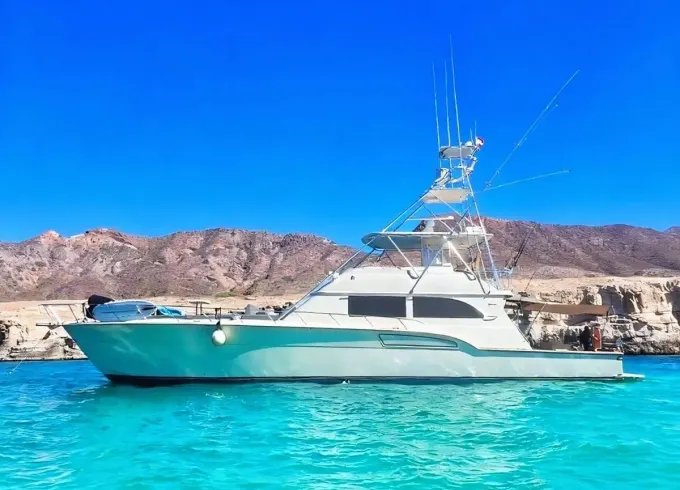 Deep Sea Fishing Charter & Adventure - 72ft Donzi Yacht