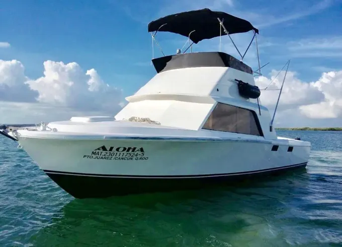 Bertram 35ft, free pick up transportation Hotel Marina one way