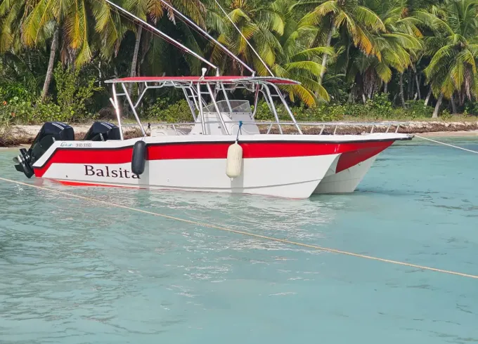 VIP POWER CATAMARAN FOR SAONA ISLAND OR CATALINA ISLAND