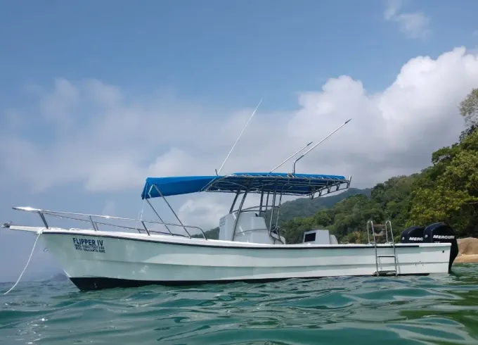 Fishing Charter - 28ft Panga Boat Flipper IV in Nuevo Vallarta