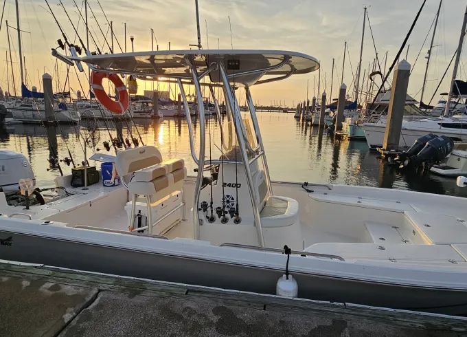 Dolphin Watching Tours and Eco Tours on Charleston Harbor
