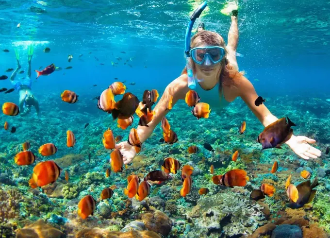 Dolphin, Snorkeling and Coastal Tour Muscat!