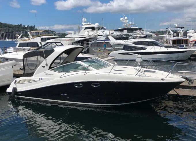 31' Sea Ray Sundancer Captained Charter Kirkland