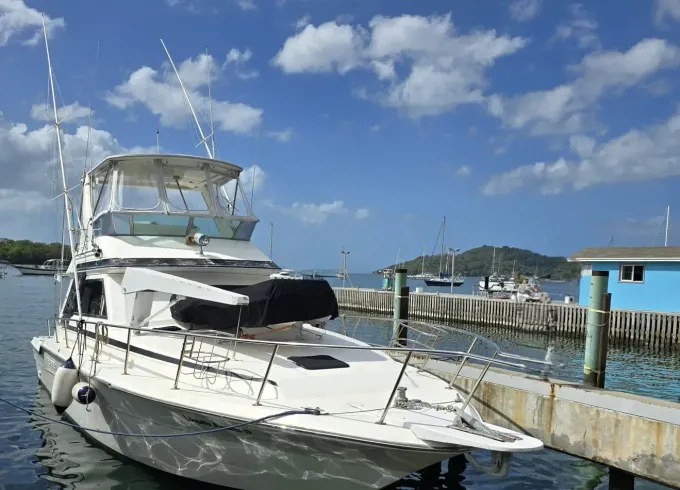 46' Sea Ray Sedan Bridge Yacht for Trips along the North West Coast