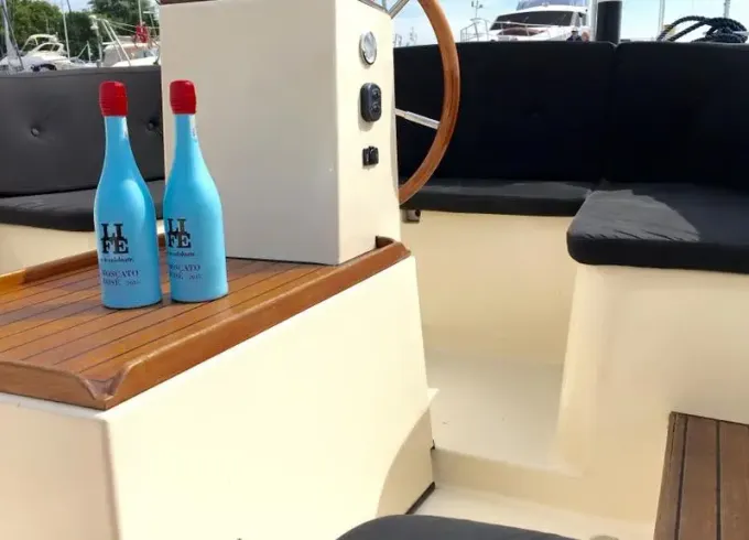 Enjoy the Veerse Meer with up to 12 persons