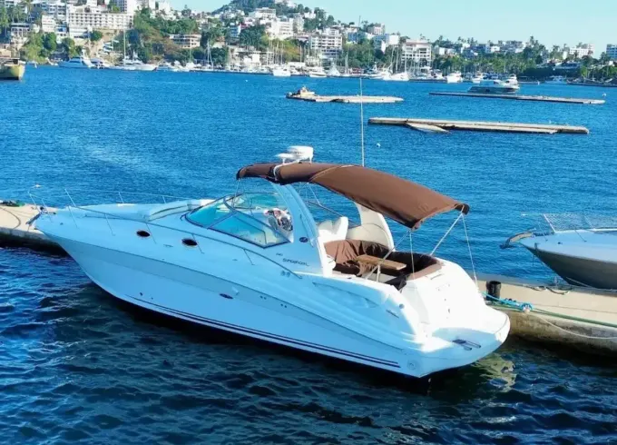 Acapulco 36ft Sundancer Yacht Charter Experience