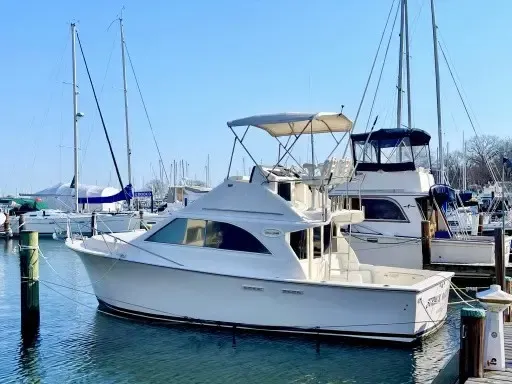 Relaxing Excitement of the Chesapeake Bay and tributaries on our Yacht