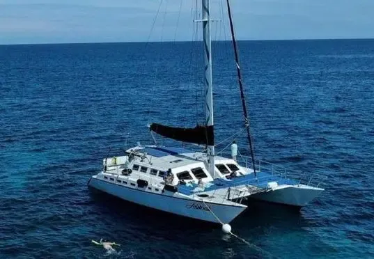 Bermuda Private Catamaran Aristocat Cruise Experience 30 Pax