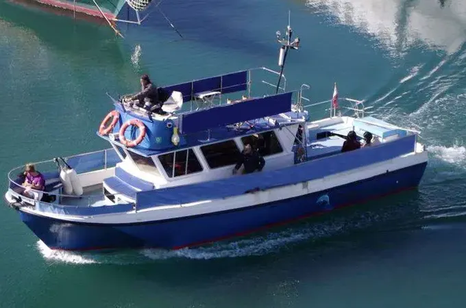 39' Dolphin Safari Boat In Gibraltar