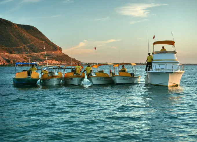 28' Sportfisherman Cruiser Charter in La Paz, Mexico