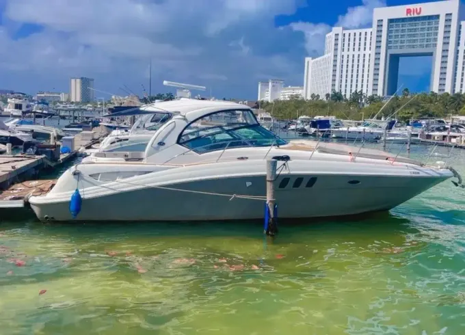 Sundancer 46ft Private Yacht Charter in Cancún for up to 15 Guests
