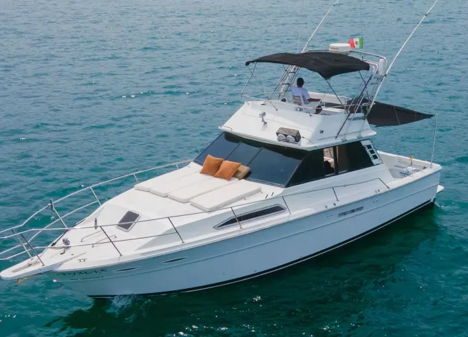 Classic SeaRay 40ft Yacht. Right match for cruising and Sportfishing