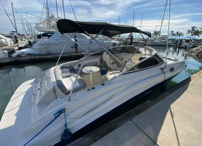 27’ Sea Ray Sundeck Power Yacht - Explore Banderas Bay