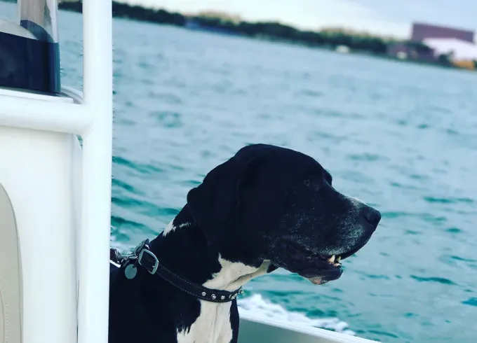 NauticStar 231 Center Console Hybrid in Sarasota Bradenton