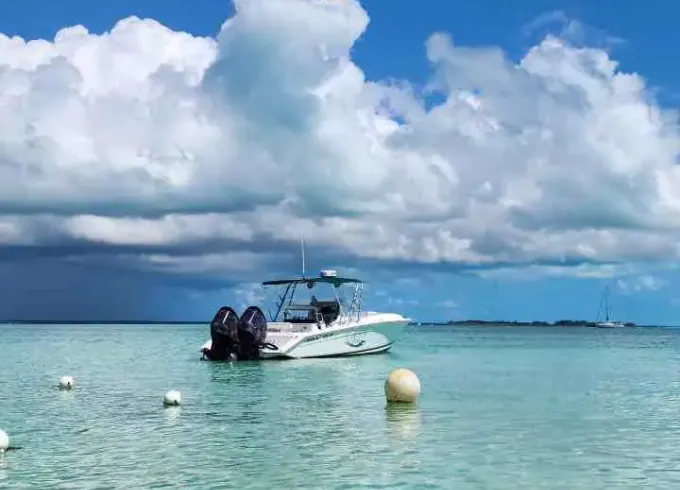 Come with us and live an incredible adventure in the Bahamian waters