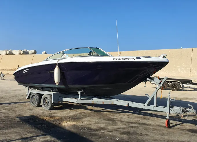 Searay 220Br Goldenboats for Charter