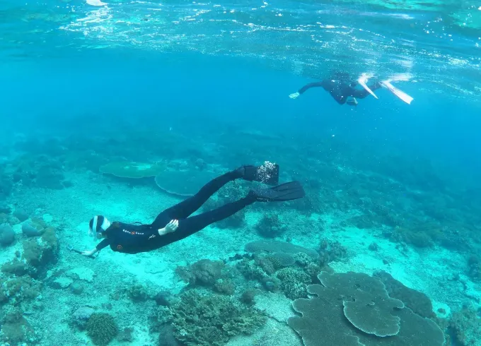 Snorkel Trip in Sanur Area (BALI)