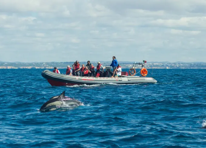 Portimao: Private Dolphin Boat Tour and Benagil Caves